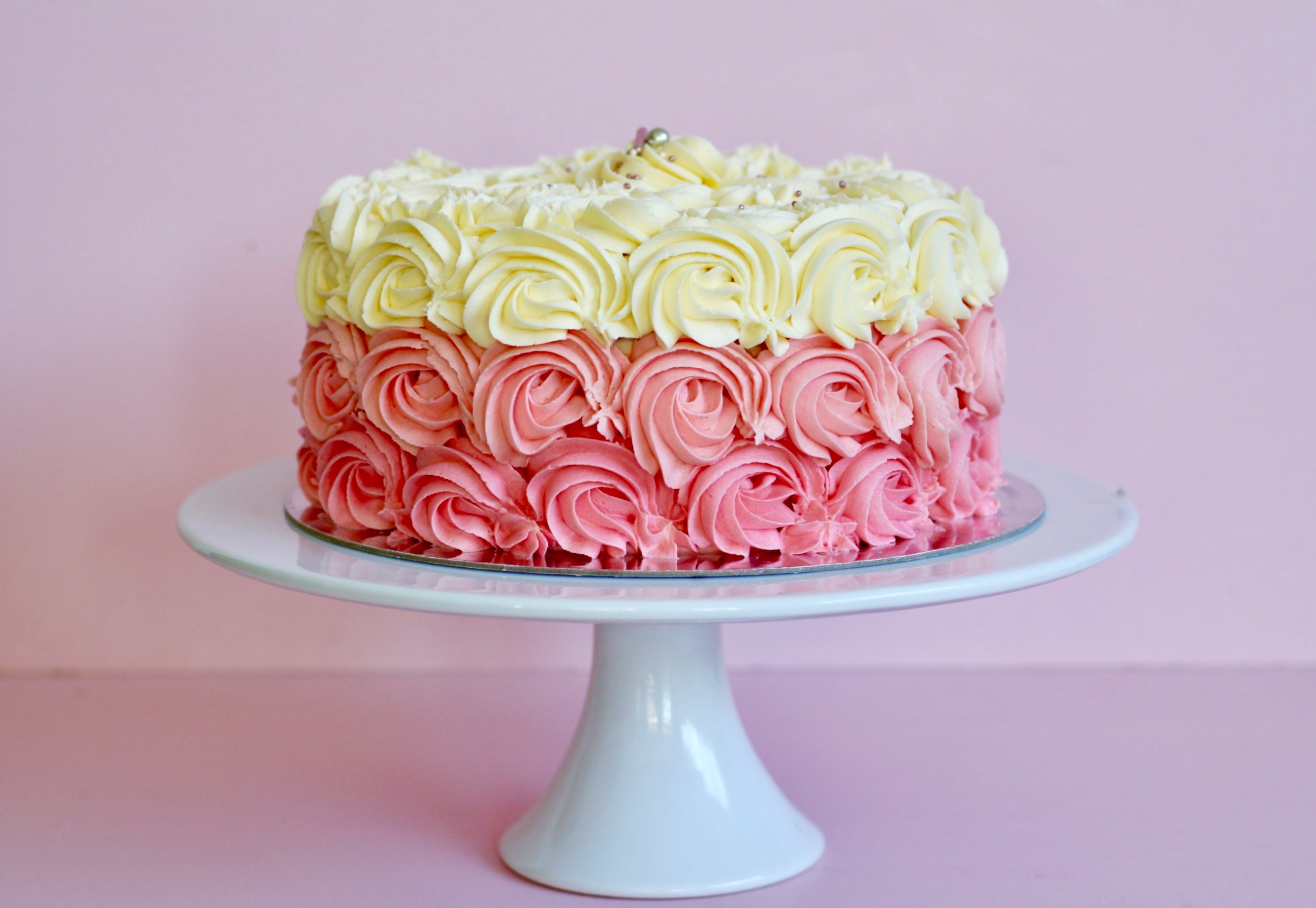 GALLERY What Sarah Bakes Cakery