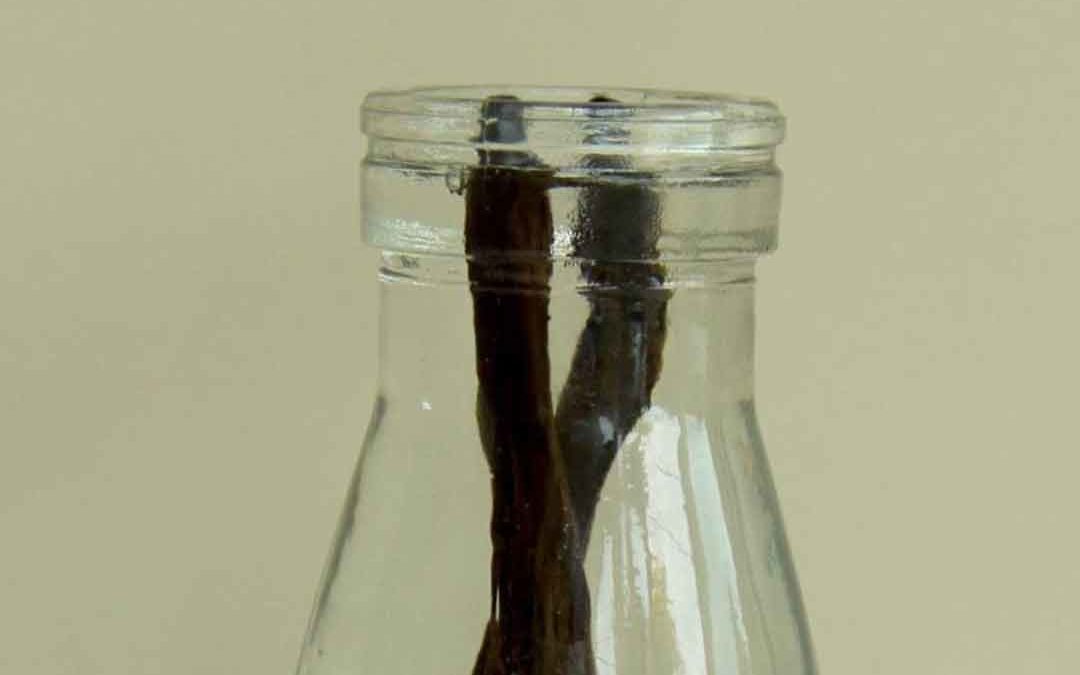 HOW TO MAKE VANILLA EXTRACT