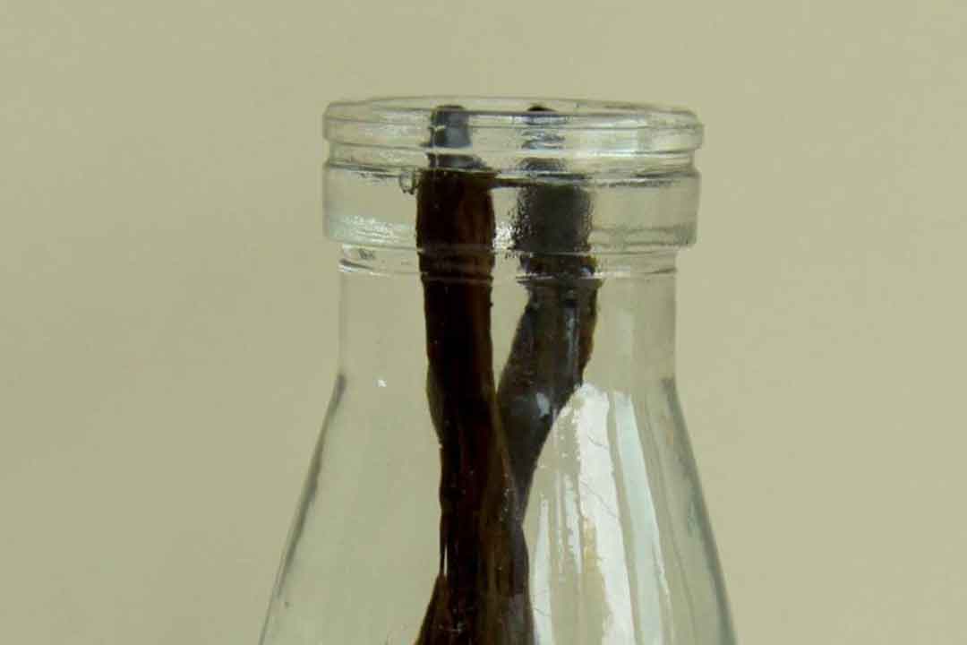 HOW TO MAKE VANILLA EXTRACT - What Sarah Bakes