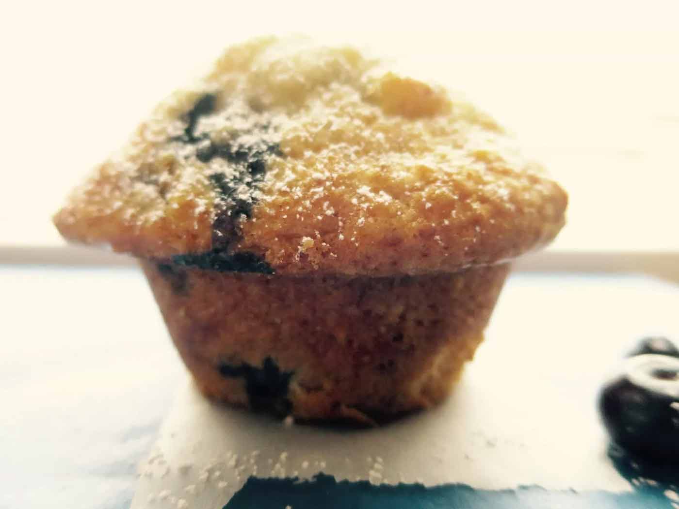 Stand alone cafe style muffin with blueberries