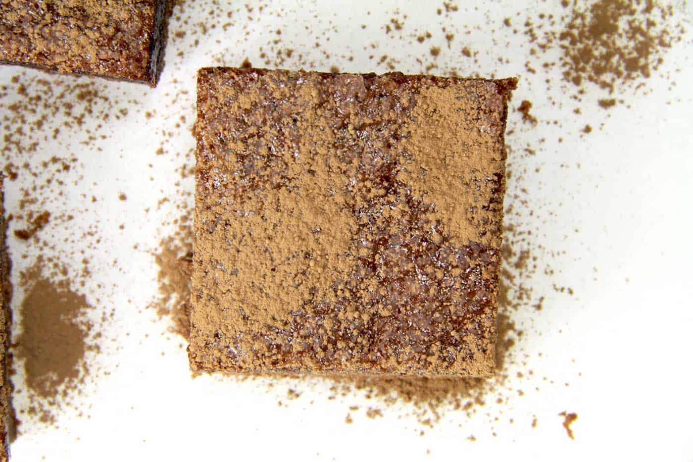 Birds eye view of chocolate custard bars Sprinkled with cocoa powder.