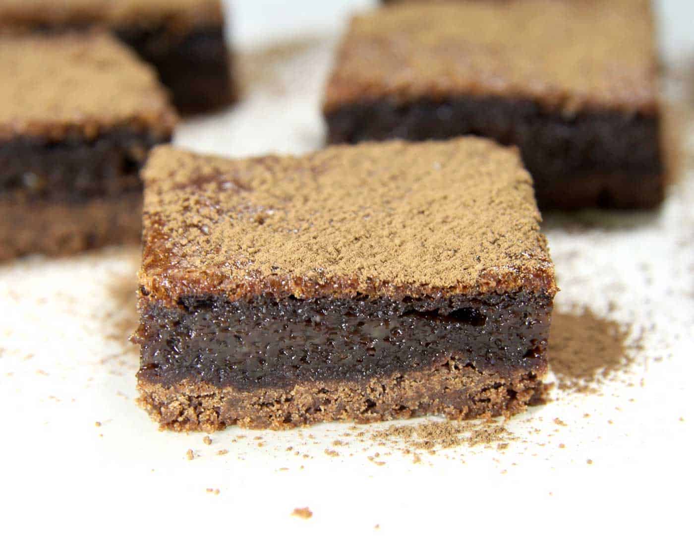 A close up shot of chocolate custard bars