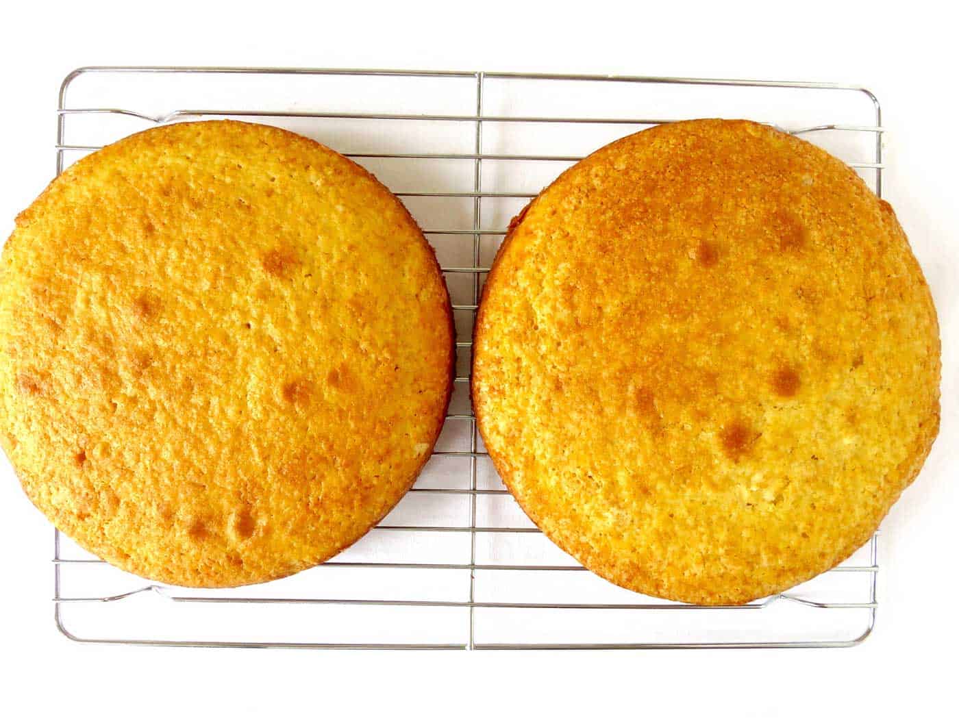 Two baked cake layers sitting on a cooling rack.