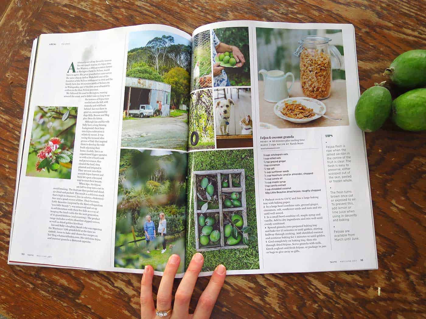 A hand holding a copy of the Taste magazine open flat which shows the feijoa granola published in the magazine (by What Sarah Bakes).