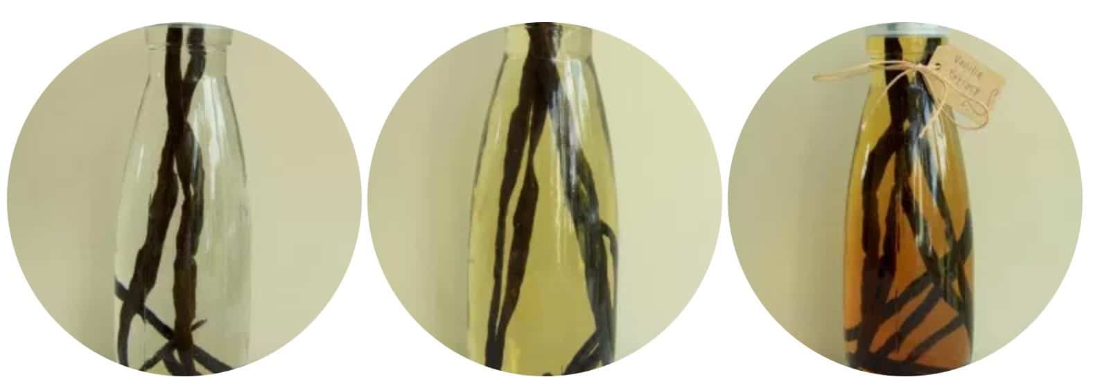Three stages of vanilla extract. One with vanilla pods and vodka just added, the second is the same bottle but after a few minutes and the vodka is darker in colour. The third is the next day and the vodka looks much more like extract.