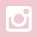 Instagram lcon